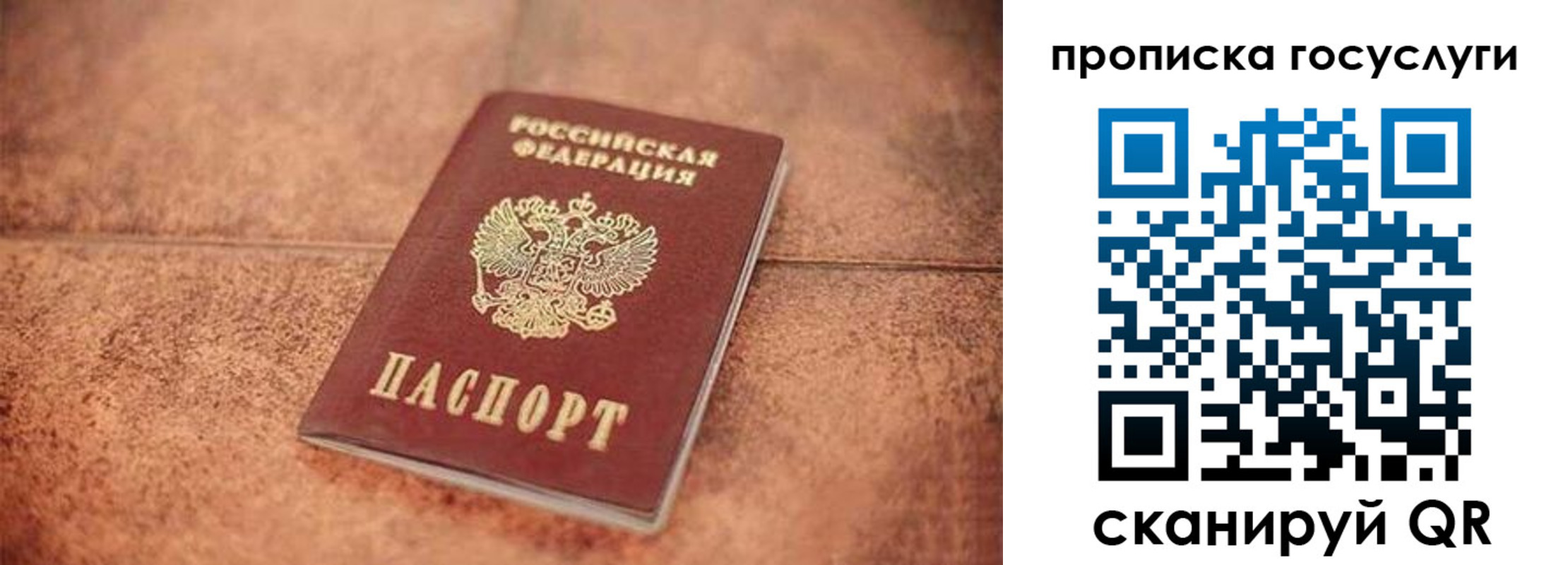 прописка законно в Дмитрове
